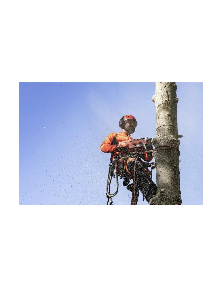 Pilarki łańcuchowe - HUSQVARNA 550 XP® G Mark II