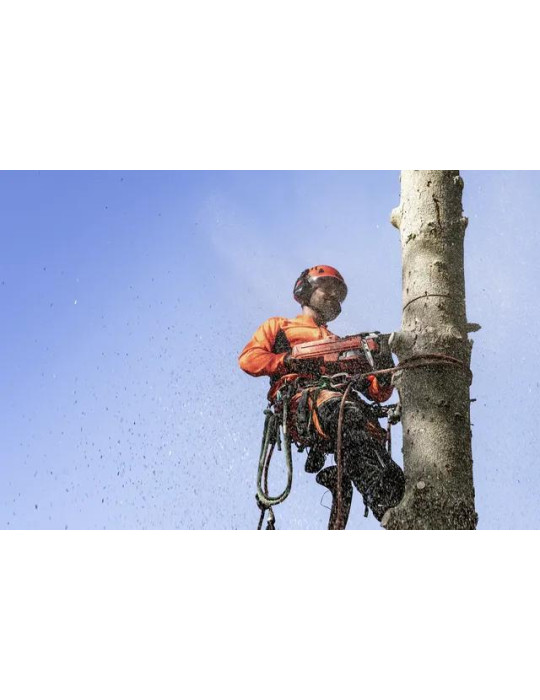 Pilarki łańcuchowe - HUSQVARNA 550 XP® G Mark II