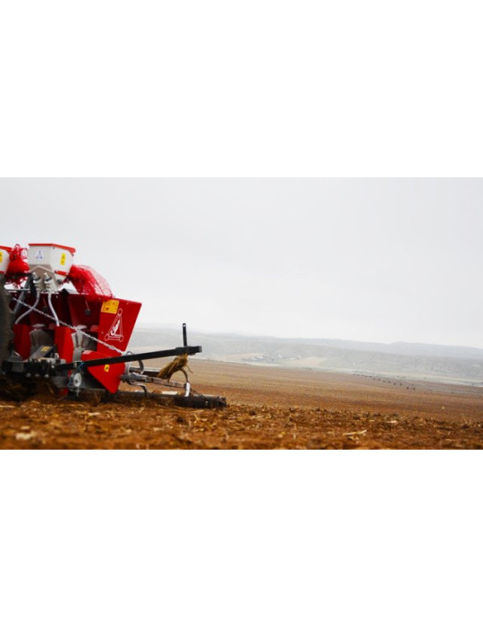 Sadzarki mechaniczne do czosnku