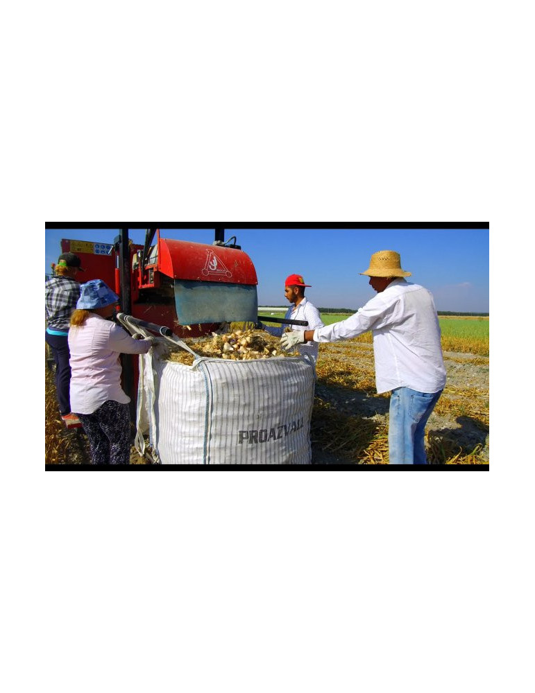 Kombajny obcinające