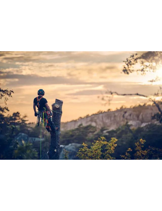 Pilarki łańcuchowe - HUSQVARNA T540 XP® Mark III