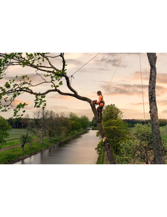 Pilarki łańcuchowe - HUSQVARNA T540 XP® Mark III